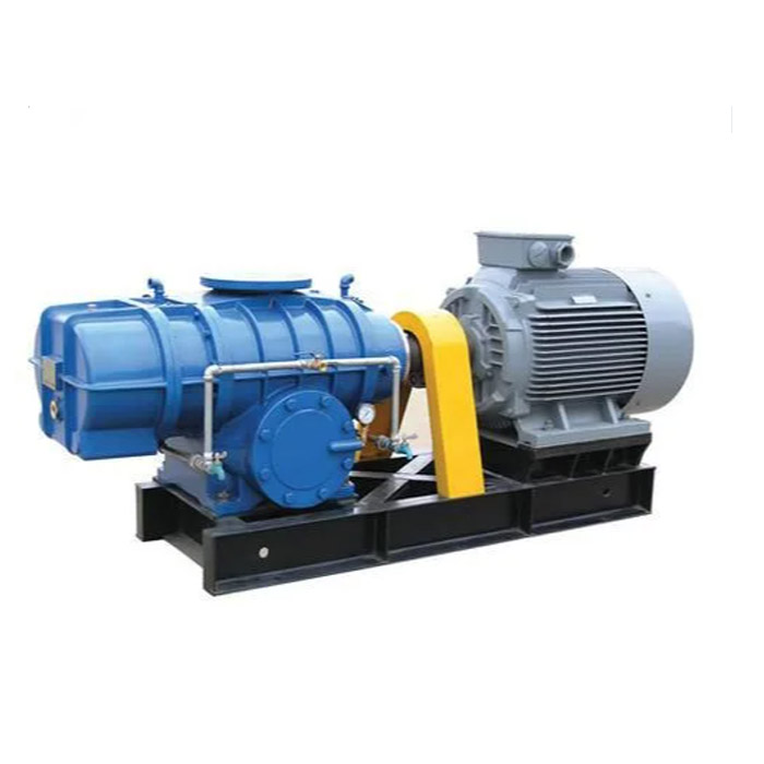 Yintoni i-Direct Coupling Roots blower