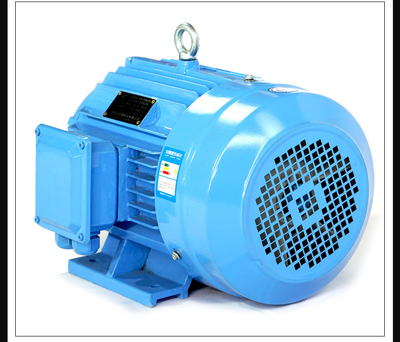 Amandla aphezulu e-AC Asynchronous Induction Motor