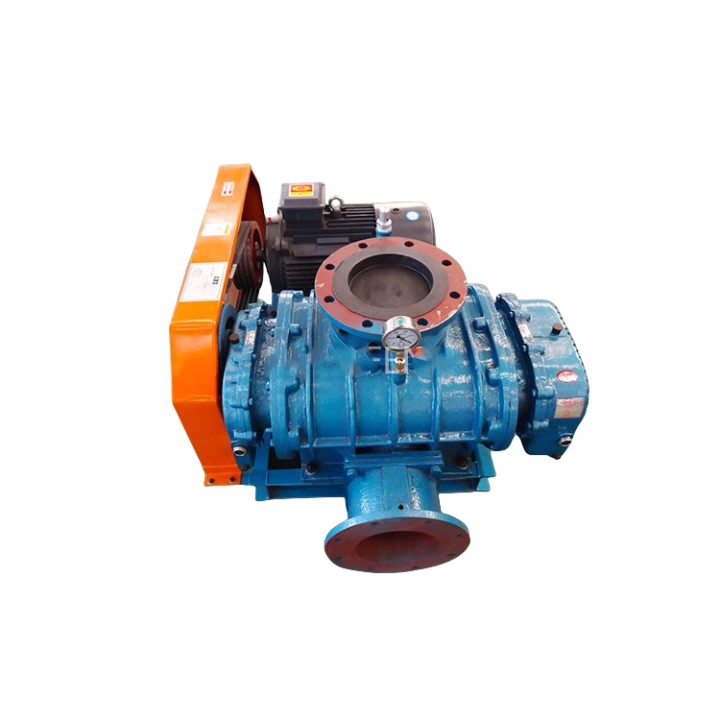 Ukupakisha Iingcambu Ukutya Vacuum Pump